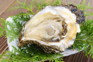 牡蠣（Oyster）