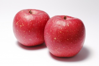 りんご（Apple）