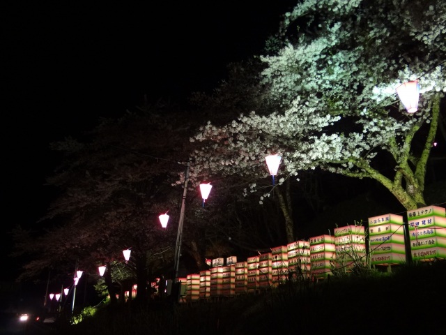 愛宕山　桜ライトアップ