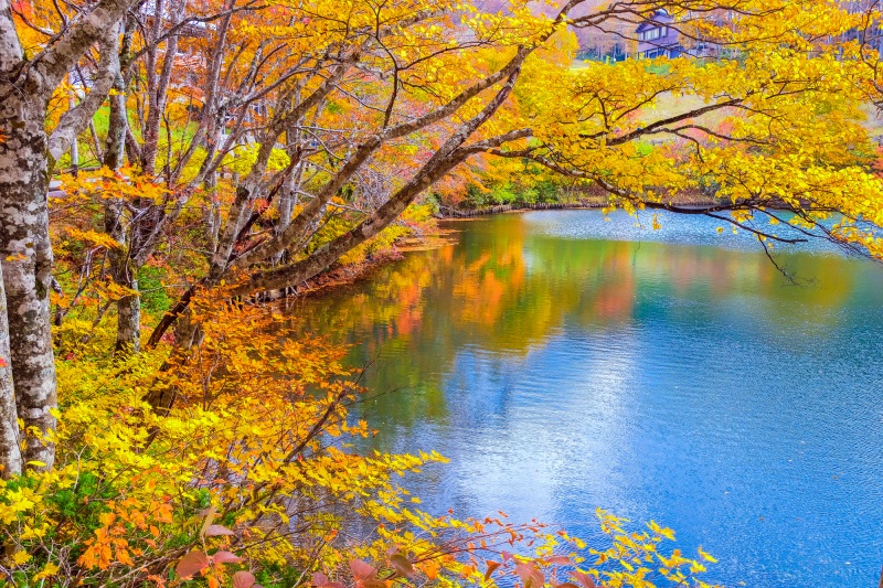 야마가타 먹거리가 풍성: 가을의 즐거움