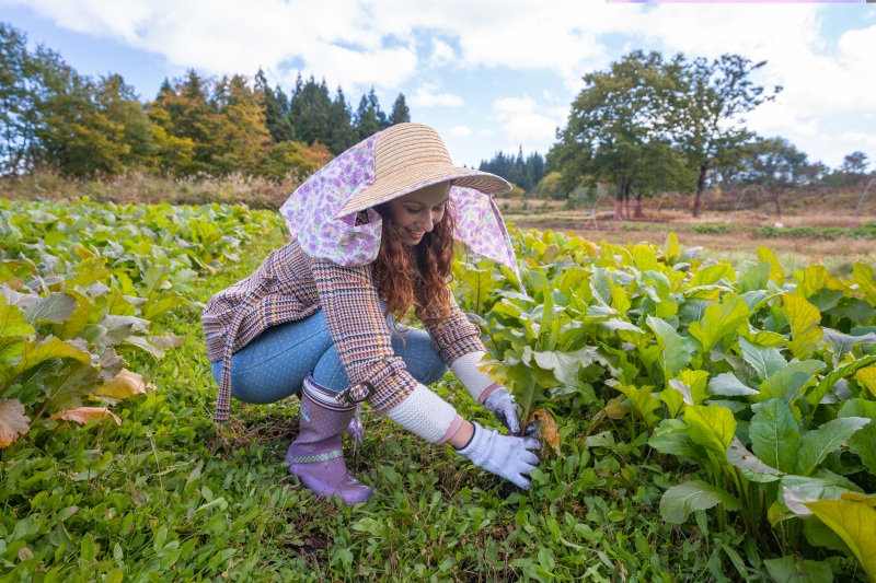 Experiencing local life through a farm stay in Mogami
