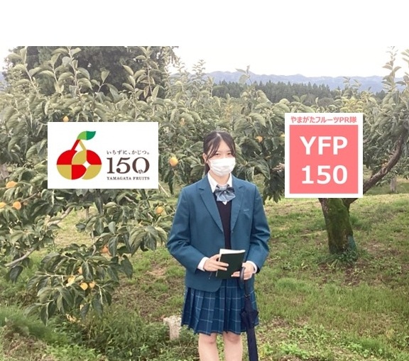 やまがたフルーツPR隊「YFP150」vol.8（前編）庄内柿