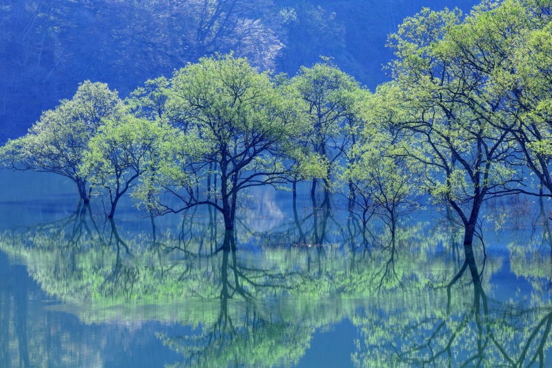 Gwにおすすめ 春限定の絶景スポット 特集 やまがたへの旅 山形県の公式観光 旅行情報サイト