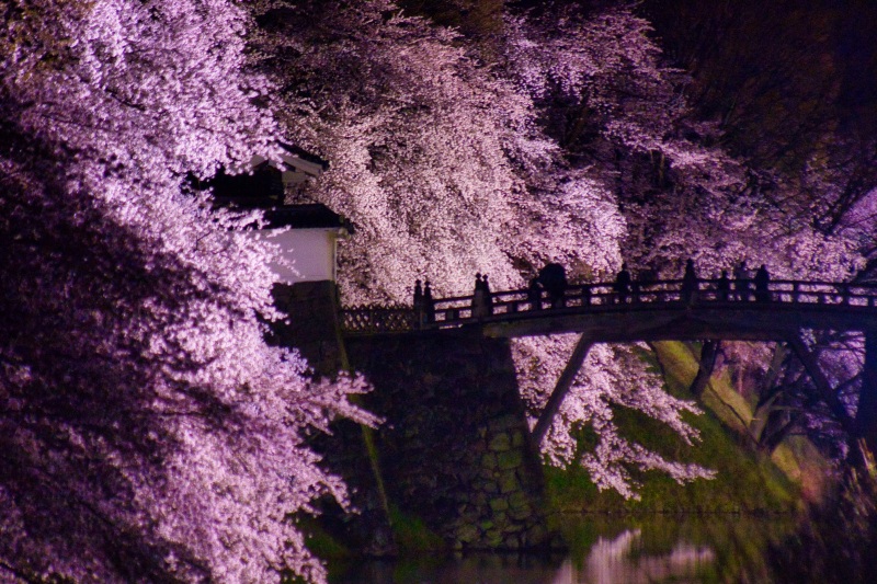 【SNS映え】 復元された東大手門。春は約1500本の桜が咲き誇る。