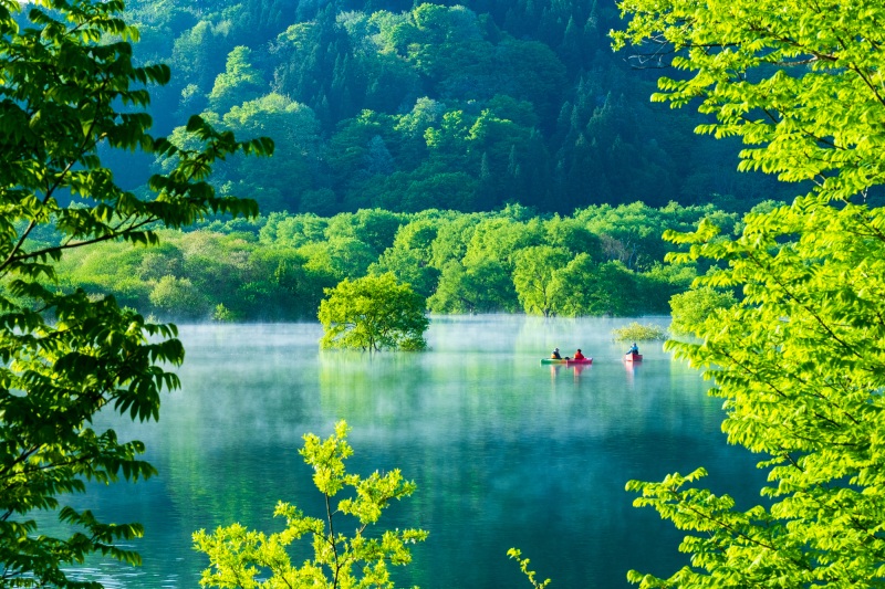 【湖上散歩】カヌーやSUPで巡る、水の森の冒険