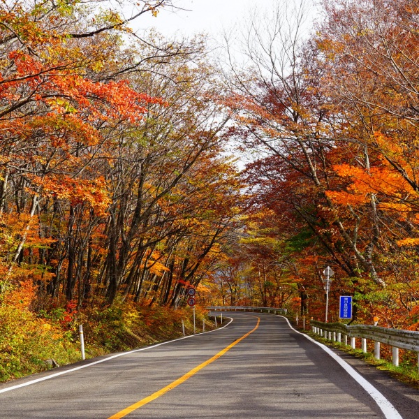 Autumn foliage drive with great views!