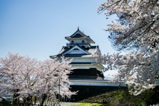 上山城2（Kaminoyama Castle 2）