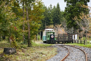 森林トロッコ列車（真室川）1（Forest trolley train 1）