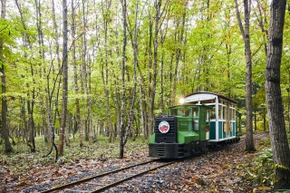 森林トロッコ列車（真室川）2（Forest trolley train 2）