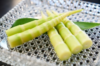 月山筍（Gassan bamboo shoots）