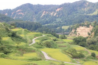 四ヶ村の棚田（Rice terraces in Shikamura）