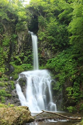 くぐり滝（Kuguri Waterfalls）