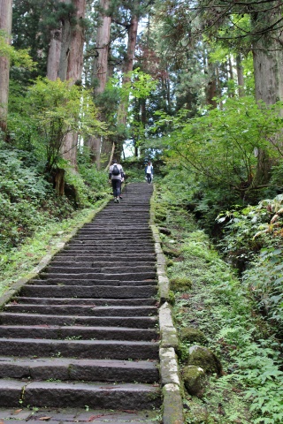 羽黒山(石段)（Haguro’s Stoned Path to Dewa Sanzan Shrine）