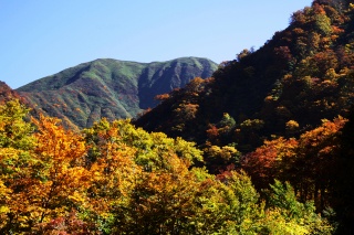 湯殿山(遠景)（Mt.Yudono）