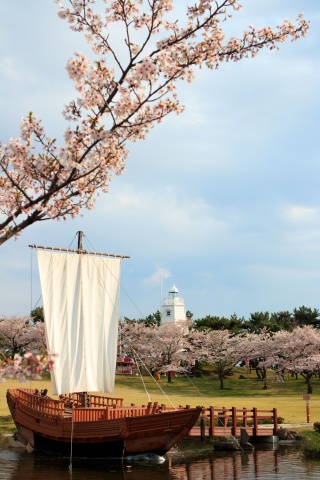 酒田日和山公園桜まつり(船)（Sakata Hiyoriyama Park Sakura Festival）