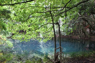 丸池様（Maruike Pond）