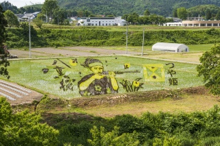 田んぼアート（Rice field art）