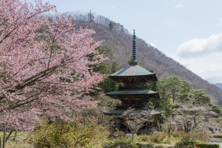 安久津八幡神社（Akutsuhachiman temple）