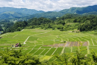 椹平の棚田（Kunugidaira rice field）