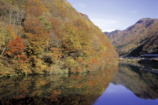 最上川の紅葉（Mogamigawa river）