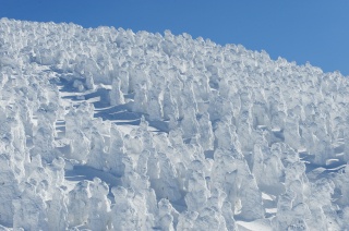 蔵王の樹氷（Snow monsters at Mt. Zao）