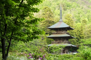 安久津八幡神社（Akutu-hachiman shrine）