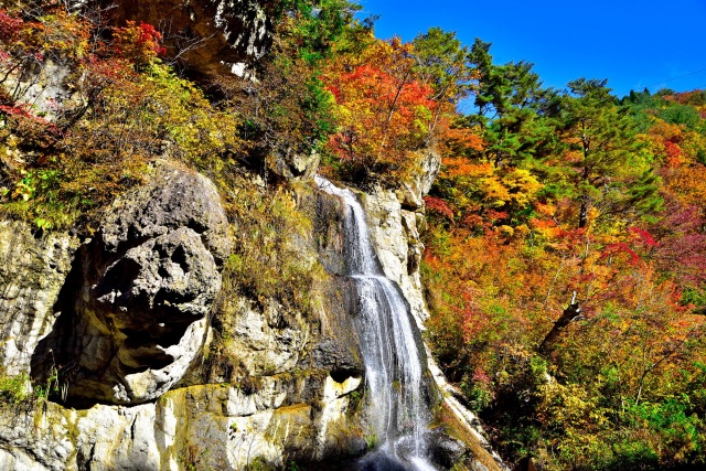 面白山高原