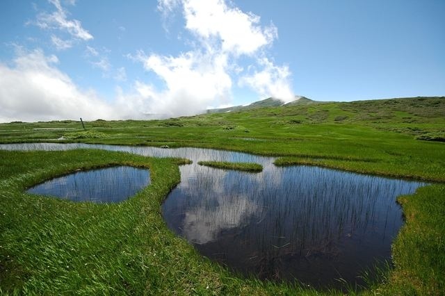 Midagahara Wetlands