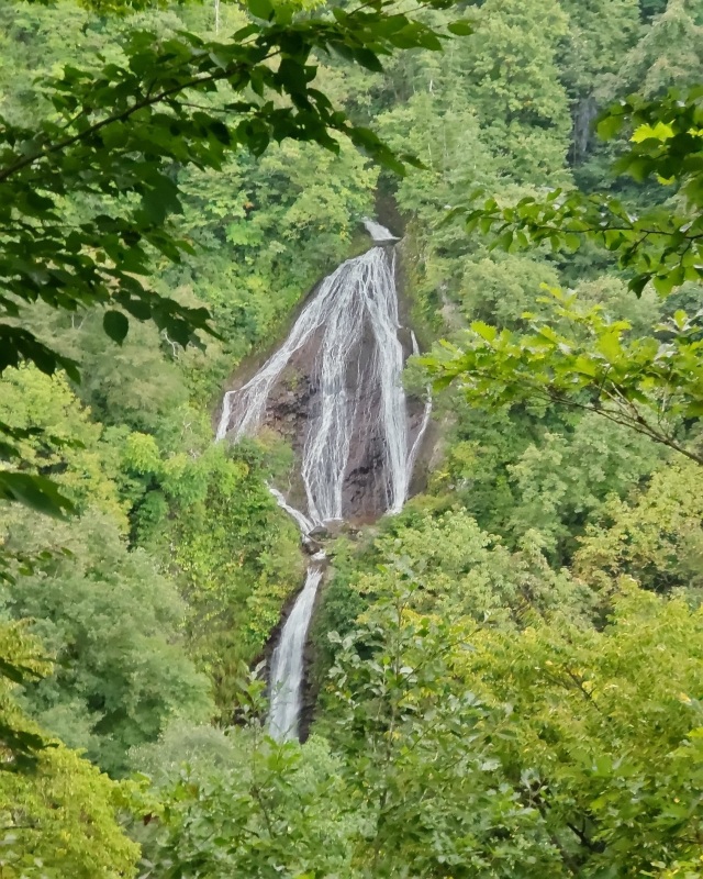 新緑の「七ツ滝」