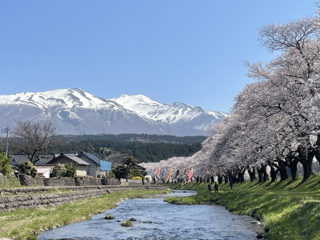 中山河川公園