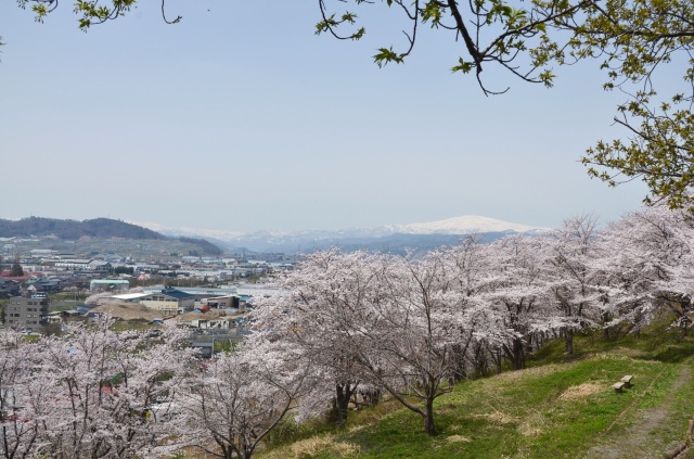 寒河江公園