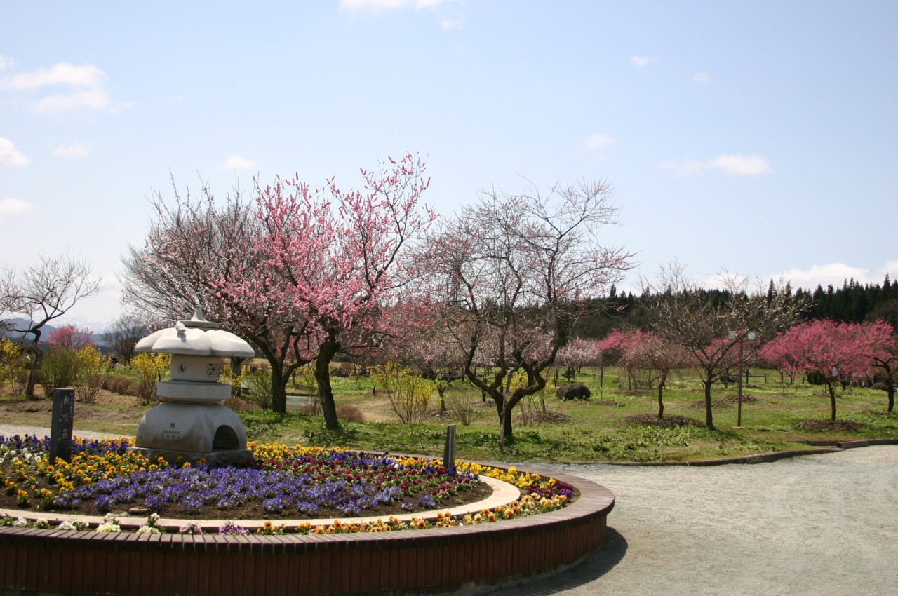真室川公園 観光スポット やまがたへの旅 山形県の公式観光 旅行情報サイト