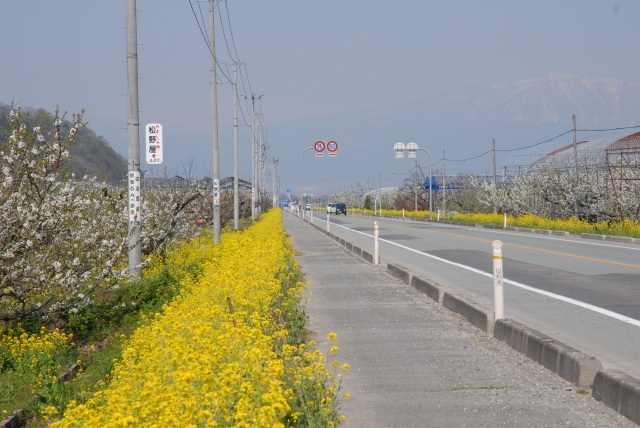 月山眺望ライン