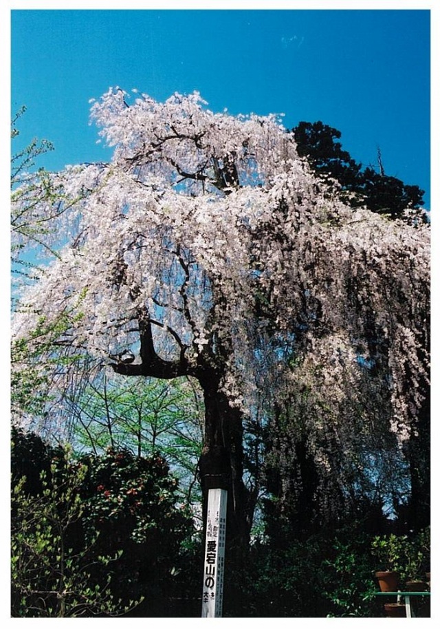 愛宕神社（大石田町）