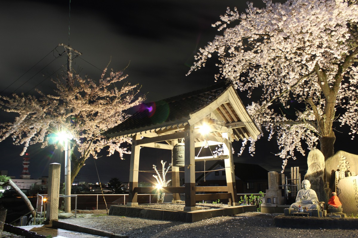 Kaikou-ji Special Night Festival: Awashima Kannon Yakkai Ceremony