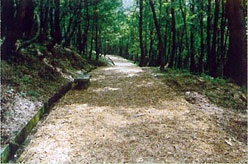 尾花沢運動公園遊歩道