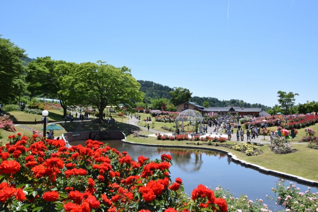 東沢バラ公園