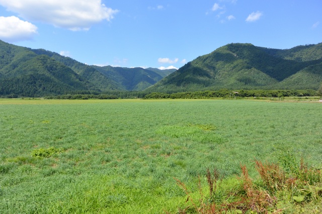 わくわくファーム前森高原