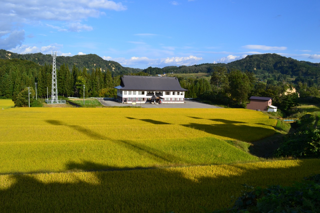 ふるさと味来館 新そばまつり｜イベント｜やまがたへの旅 - 山形県の公式観光・旅行情報サイト