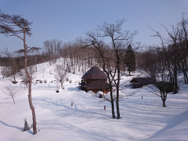 冬のエコパーク内の風景