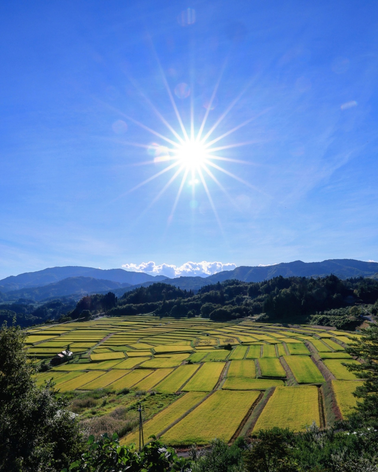 日本の棚田百選 椹平の棚田 観光スポット やまがたへの旅 山形県の公式観光 旅行情報サイト