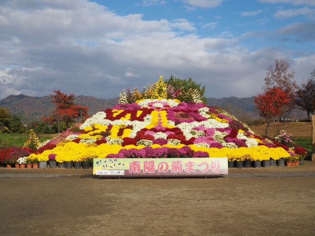 Nanyo Chrysanthemum Festival (Flower Park Venue)