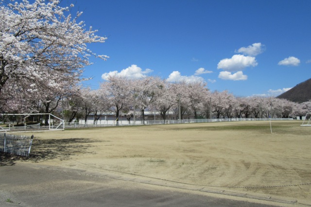 万騎の原の桜