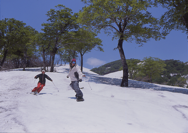Mt. Gassan Ski Resort