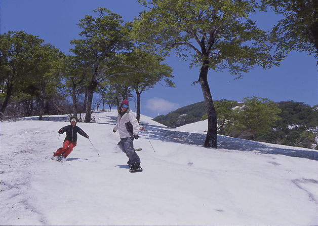 月山スキー場（月山春夏スキー）