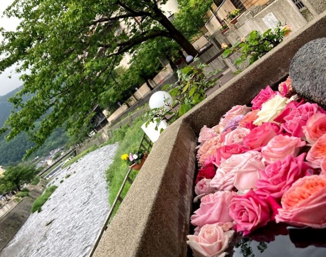 バラの足湯（もっけ湯）