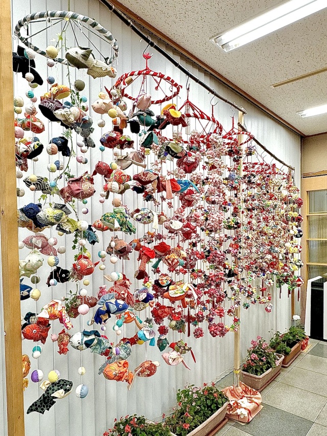 たくさんのつるし雛