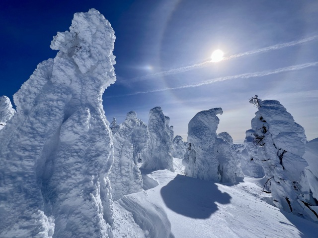 DEEP ZAO　蔵王坊平高原の樹氷原