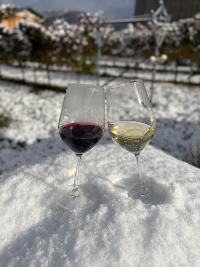 かみのやま雪のワイナリーツアー