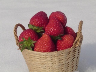 いちごガーデン